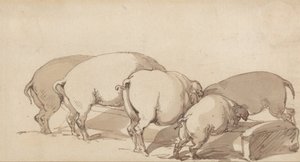 Cochons à une auge - Thomas Rowlandson